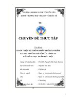Chuyên đề thực tập hoàn thiện hệ thống phân phối sản phẩm tại thị trường hà nội của công ty cổ phần thực phẩm đức việt