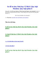 Sơ đồ tư duy sinh học 12 bài 8  quy luật menđen  quy luật phân li