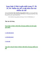 Soạn sinh 12 bài 6 ngắn nhất trang 27, 28, 29, 30  nhiễm sắc thể và đột biến cấu trúc nhiễm sắc thể