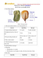 Ly thuyet sinh 6 bai 33 (1)