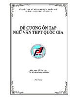 Đề cương ôn tập THPT QG môn Ngữ văn (Trường THPT Phan Đăng Lưu)