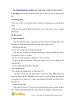 Ly thuyet tieng viet 1 ke chuyen niem vui bat ngo