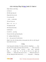 Giai vo bai tap tieng viet lop 4 tuan 22 chinh ta