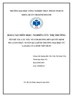 BÁO CÁO MÔN HỌC: NGHIÊN CỨU THỊ TRƯỜNG TÊN ĐỀ TÀI: CÁC YẾU TỐ ẢNH HƯỞNG ĐẾN QUYẾT ĐỊNH  MUA SẮM TRỰC TUYẾN QUA KÊNH THƯƠNG MẠI ĐIỆN TỬ LAZADA