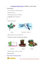 Ly thuyet tieng viet 1 chinh ta tang chau