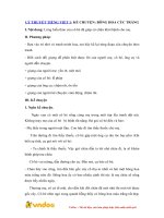 Ly thuyet tieng viet 1 ke chuyen bong hoa cuc trang