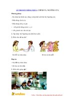 Ly thuyet tieng viet 1 chinh ta nguong cua