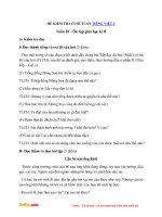 De on thi giua hoc ki 2 mon tieng viet lop 4