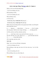 Giai vo bai tap tieng viet lop 4 tuan 31 chinh ta (3)