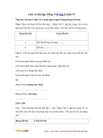 Giai vo bai tap tieng viet lop 5 tuan 19 tlv luyen tap ta nguoi dung doan ket bai