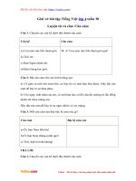 Giai vo bai tap tieng viet lop 4 tuan 30 ltvc cau cam (1)