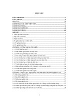 Nghiên cứu khả năng sản xuất của 2 dòng vịt biển hướng trứng tại trung tâm nghiên cứu vịt đại xuyên