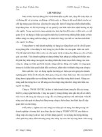 Chuyên Đề Thực Tập Giải Pháp Nâng Cao Hiệu Quả Sử Dụng Lao Động Tại Công Ty Tnhh Vintec.pdf