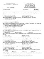 Đề thi thử thpt môn lý 11  (504)