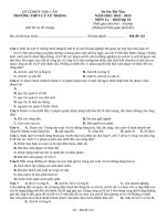 Đề thi thử thpt môn lý 11  (528)