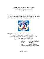 Chuyên đề thực tập  phát triển dịch vụ mặt đất của công ty trách nhiệm hữu hạn một thành viên dịch vụ mặt đất sân bay việt nam chi nhánh nội bài