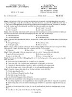 Đề thi thử thpt môn lý 11  (186)