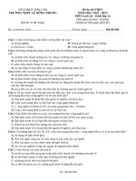 Đề ôn thi lịch sử thpt số 1 (199)