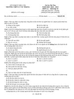 Đề thi thử thpt môn lý 11  (591)