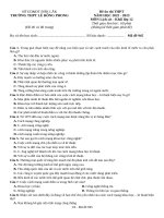 Đề ôn thi lịch sử thpt số 1 (190)