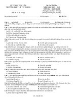 Đề thi thử thpt môn lý 11  (687)