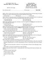Đề thi thử thpt môn lý 11  (524)