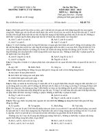 Đề thi thử thpt môn lý 11  (683)