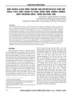 Ghi nhận loài mới thuộc họ Myrtaceae cho hệ thực vật Việt Nam từ Khu Bảo tồn Thiên nhiên Bắc Hướng Hóa, tỉnh Quảng Trị