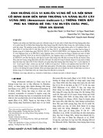 Ảnh hưởng của vi khuẩn vùng rễ và nội sinh cố định đạm đến sinh trưởng và năng suất cây vừng (mè) (Sesamum indicum L.) trồng trên đất phù sa trong đê thu tại huyện Châu Phú, tỉnh