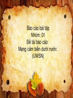 Báo cáo môn đa truy nhập vô tuyến đề tài  mạng cảm biến dưới nước (uwsn)