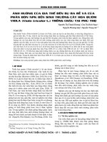 Ảnh hưởng của giá thể đến sự ra rễ và của phân bón NPK đến sinh trưởng cây hoa bướm Viola (Viola tricolor L.) trồng chậu tại Phú Thọ