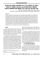 Đánh giá sinh trưởng của các dòng vô tính keo lá tràm (Acacia auriculiformis) trong khảo nghiệm mở rộng tại Cam Lộ, Quảng Trị