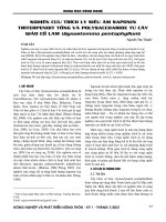 Nghiên cứu trích ly siêu âm saponin triterpenoit tổng và polysaccharide từ cây Giảo cổ lam (Gynostemma pentaphyllum)