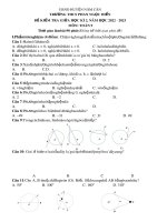 Đề thi giữa học kì 2 môn Toán lớp 9 năm 2022-2023 có đáp án - Trường THPT Phan Ngọc Hiển