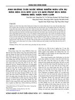 Ảnh hưởng tưới nước sông nhiễm mặn lên sự mặn hóa của đất lúa và giải pháp rửa mặn trong điều kiện nhà lưới