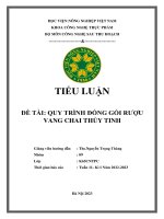 Tiểu luận đề tài quy trình đóng gói rượu vang chai thủy tinh
