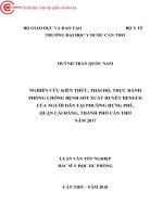 Nghiên cứu kiến thức, thái độ, thực hành phòng chống bệnh sốt xuất huyết dengue của người dân tại phường hưng phú, quận cái răng, thành phố cần thơ