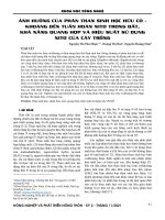 Ảnh hưởng của phân than sinh học hữu cơ - khoáng đến tuần hoàn nitơ trong đất, khả năng quang hợp và hiệu suất sử dụng nitơ của cây trồng