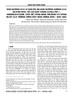 Ảnh hưởng của vi khuẩn quang dưỡng không lưu huỳnh màu tía có khả năng cung cấp δ-aminolevulinic axít để tăng sinh trưởng và năng suất lúa trồng trên đất mặn Hồng Dân - Bạc Liêu