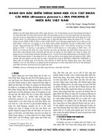 Đánh giá đặc điểm nông sinh học của tập đoàn cải mèo (Brassica juncea L.) địa phương ở miền Bắc Việt Nam