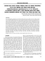 Đánh giá khả năng thích ứng và sinh trưởng của các dòng vô tính loài Quao (Dolichandrone spathacea (L. F.) K. Schum) 9 tháng tuổi ở sưu tập nguồn gen kết hợp khảo nghiệm dòng vô