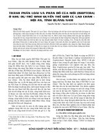 Thành phần loài và phân bố của mối (Isoptera) ở Khu Dự trữ Sinh quyển Thế giới Cù Lao Chàm - Hội An, tỉnh Quảng Nam