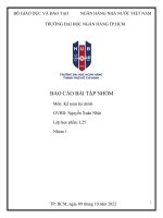 Báo cáo bài tập nhóm môn Kế toán tài chính 1