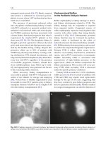 Đề ôn thi thử môn hóa  (17)