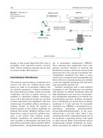 Đề ôn thi thử môn hóa  (50)