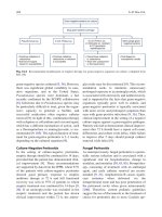 Đề ôn thi thử môn hóa  (41)