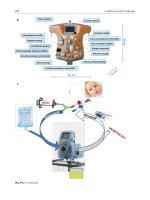 Đề ôn thi thử môn hóa  (137)