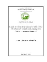 (Luận Văn Thạc Sĩ) Nghiên Cứu Tình Hình Nhiễm Giun Tròn Đường Tiêu Hóa Ở Lợn Nuôi Bán Chăn Thả Tại Tỉnh Lào Cai Và Biện Pháp Phòng Trị.pdf