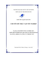 Giải pháp nâng cao hiệu quả chiến dịch marketing mix cho sản phẩm kem rạn da ovela abera của công ty tnhh hv net