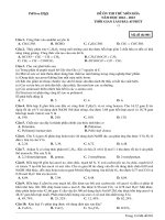Đề ôn thi thử môn hóa  (302)